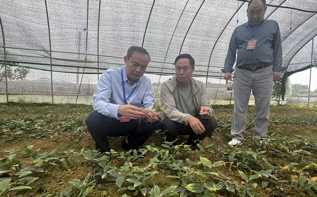 县政协开展重点提案办理情况视察督办活动
