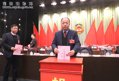 政协崇阳县第十届委员会第六次会议召开选举大会